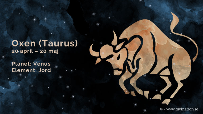 Oxen (Taurus)