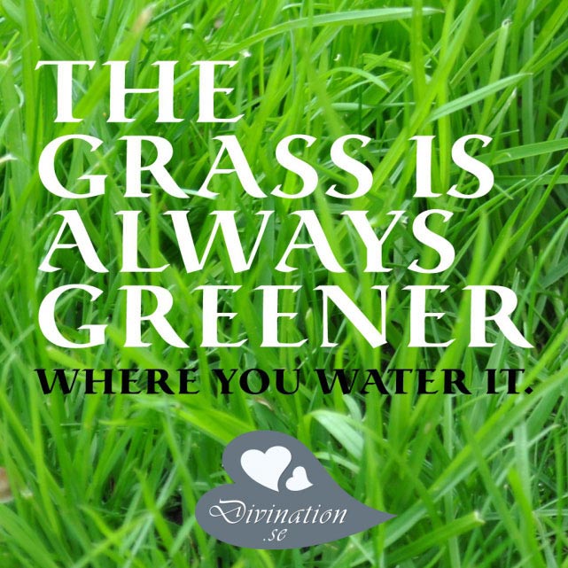 The grass is always greener wh