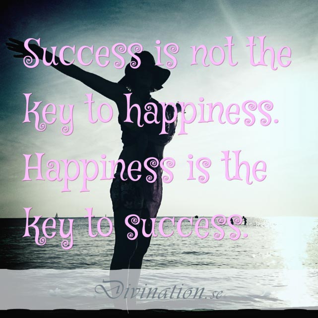 Success is not the key to happ