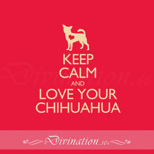 KEEP CALM AND LOVE CHIHUAHUAS