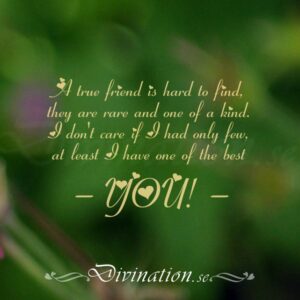 A true friend is hard to find,